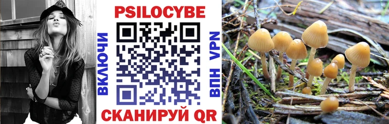 Псилоцибиновые грибы MAGIC MUSHROOMS  Дмитров 