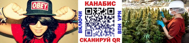 Каннабис OG Kush  наркошоп  ссылка на мегу рабочий сайт  Дмитров 